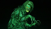 Show Photos - How the Grinch Stole Christmas - Cast