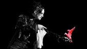 The Illusionists—Live From Broadway - Prod Photos - 9/16