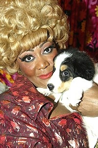 NSAL Puppies at Hairspray - Mary Bond Davis