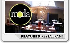 New Sly Fox Cast - Larry Storch